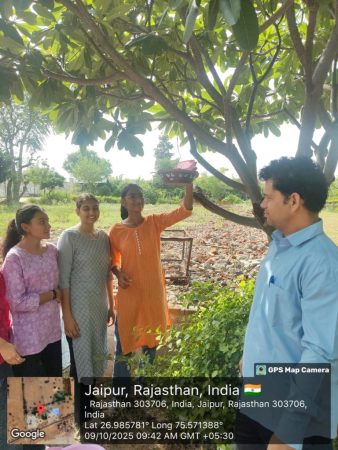 gandi-park-clean (1)