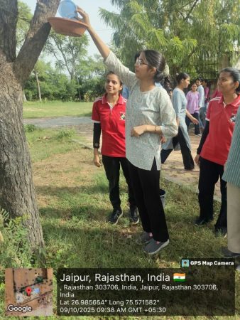 gandi-park-clean (2)