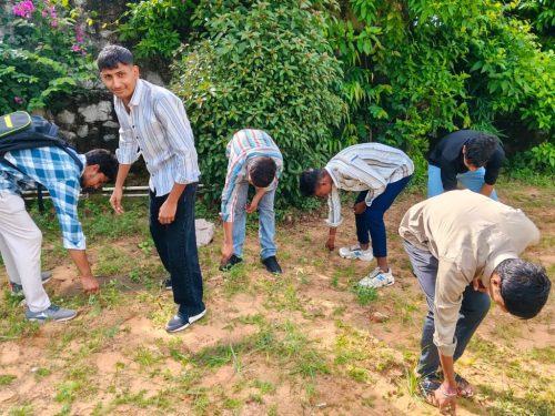 gandi-park-clean (4)