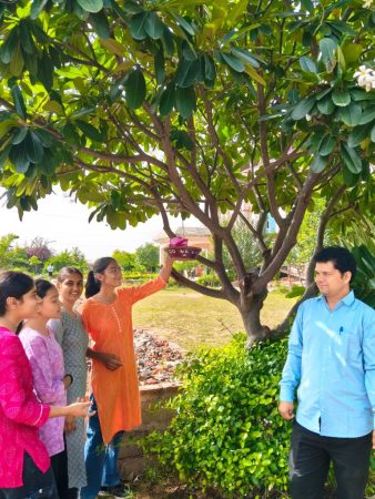 gandi-park-clean (5)