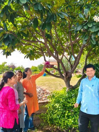 gandi-park-clean (6)