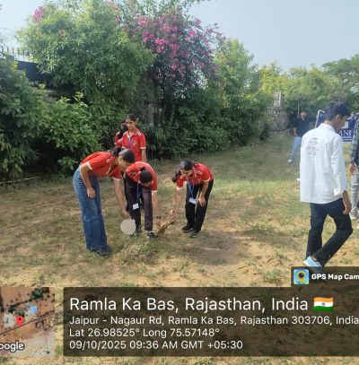 gandi-park-clean (3)